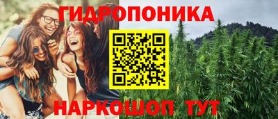 гашик Конаково